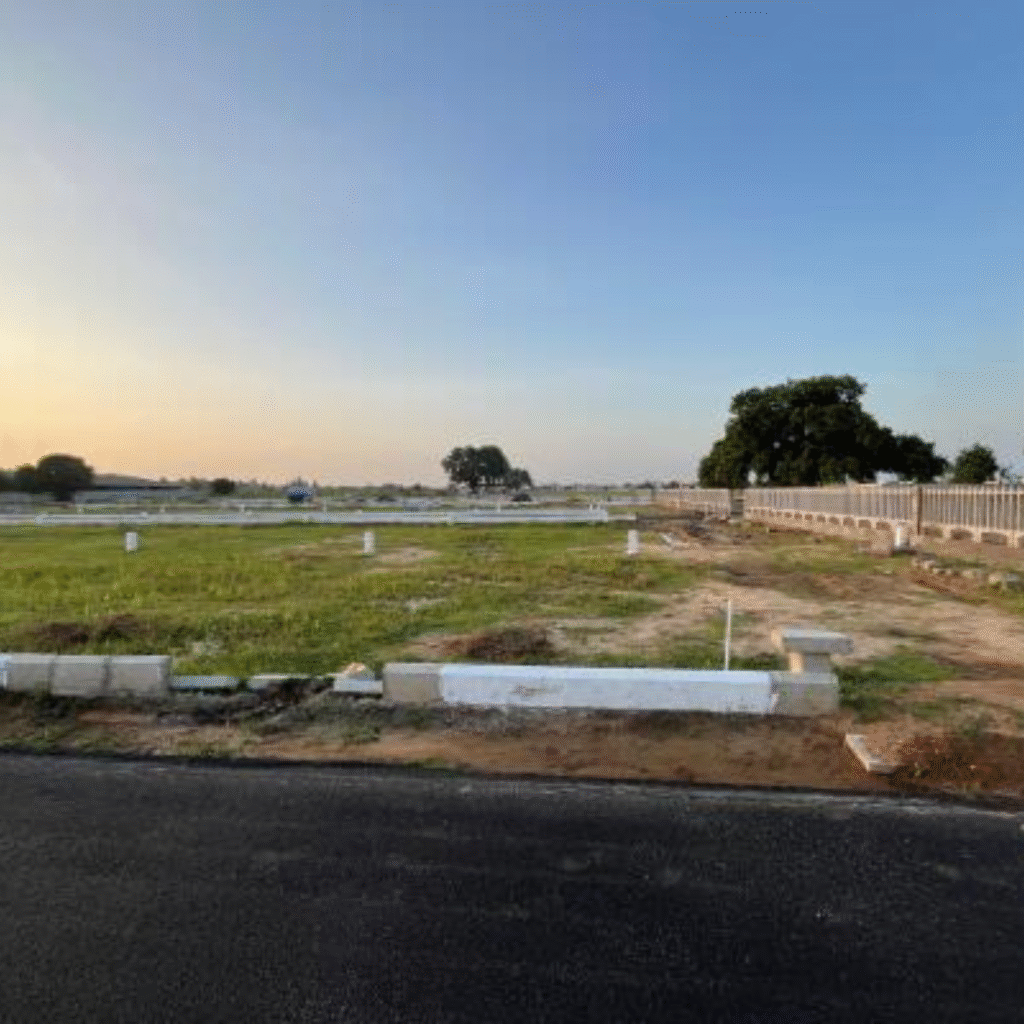 Home plot 2