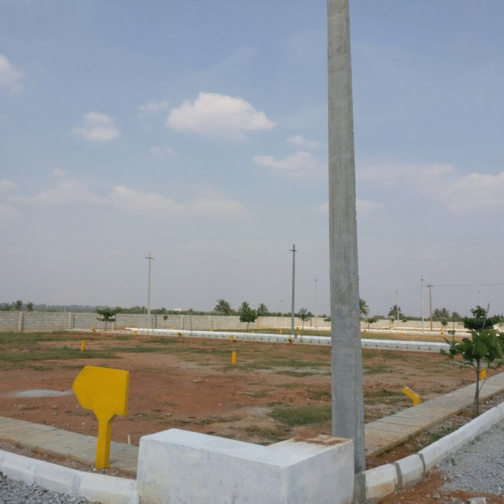 Home home plot
